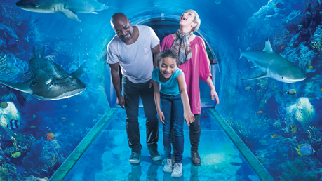 The National Sea Life Centre Tickets 2FOR1 Offers National Rail